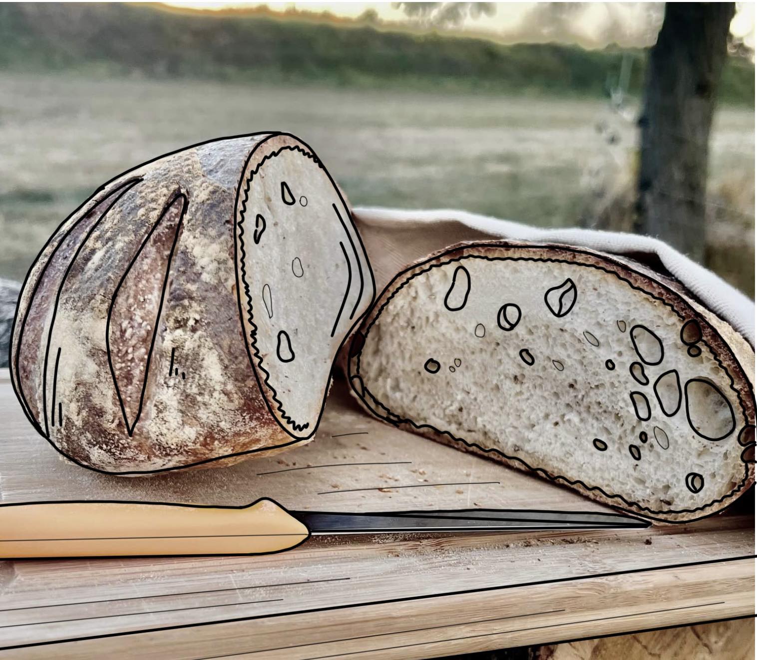 K U R Z  - - Jak hravě zvládnout pečení chleba