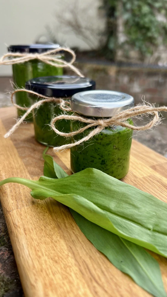 Pesto z medvědího česneku 160g