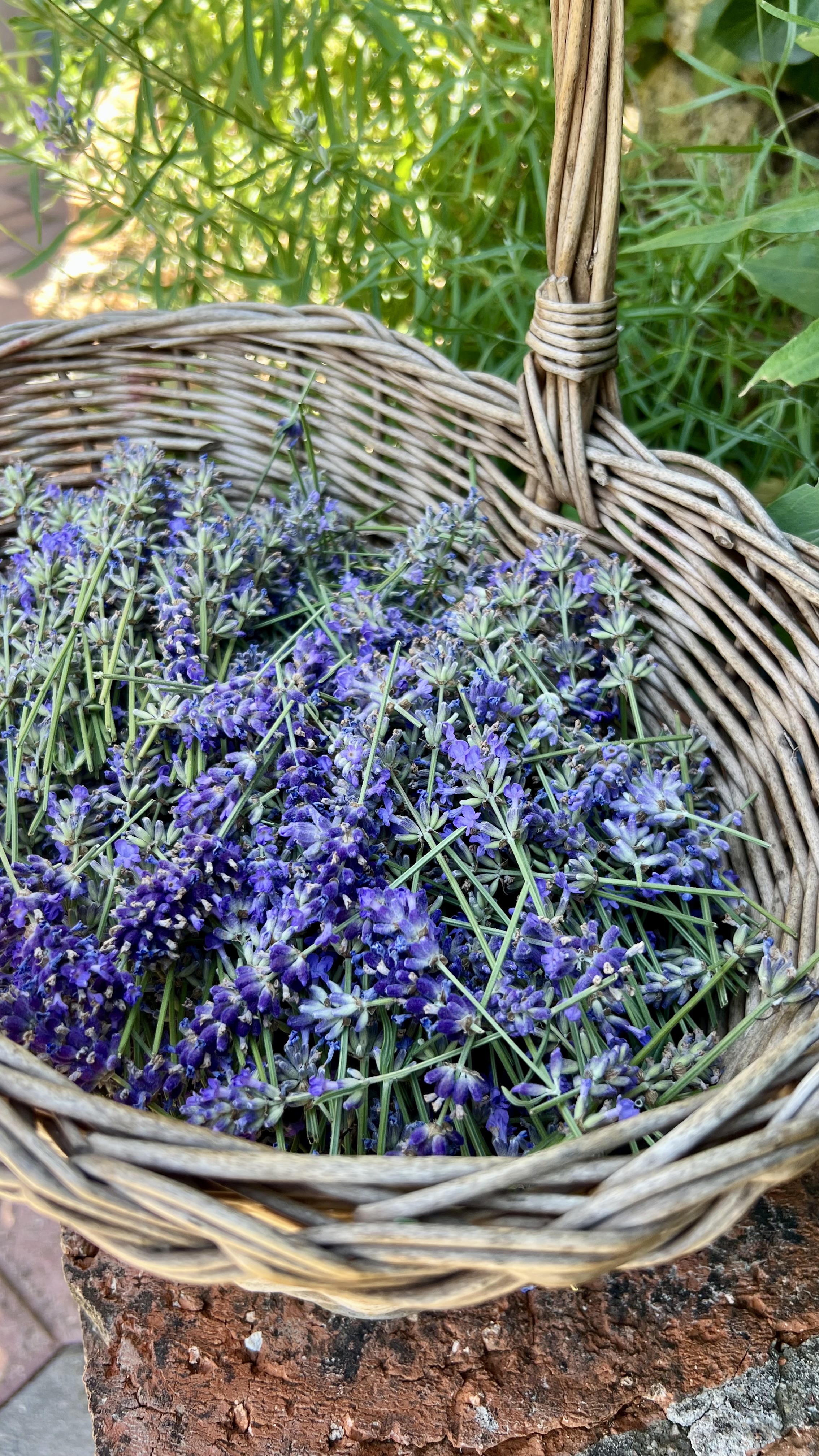 Levandulový sirup